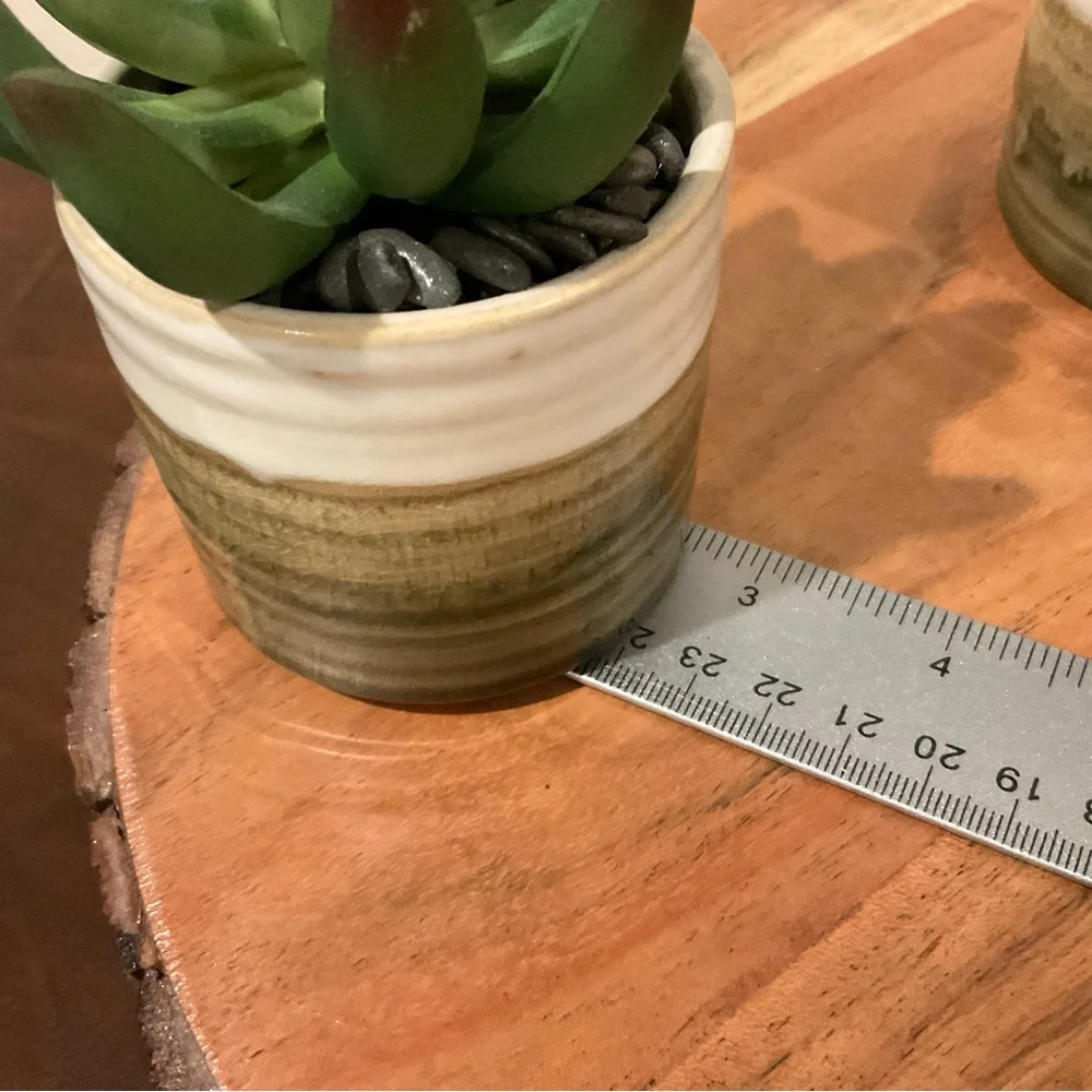 Set of 3 NEW Small Faux Succulents in Pots 🌵
